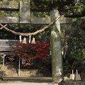 紅葉・・諏訪神社