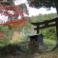 Photos: 諏訪神社裏