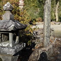写真: 市渡瀬神社