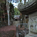 紅葉・・住吉神社