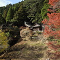 Photos: 紅葉・・湯出神社