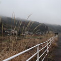 写真: 冬の原風景・・市渡瀬羽迫