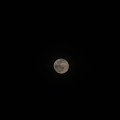 写真: 霞満月