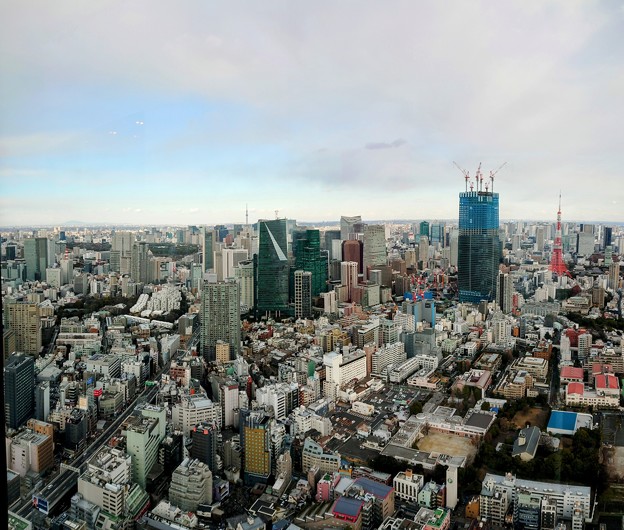 写真: TOKYO、シティビュー