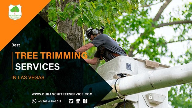 Best Tree Trimming Services In Las Vegas