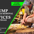 Photos: Stump Grinding & Removal Services Las Vegas