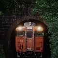 写真: トンネルからこんにちは