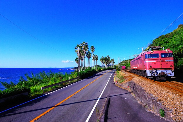 写真: 南国の国鉄型機関車