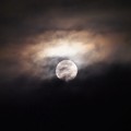 写真: 雲隠れの名月