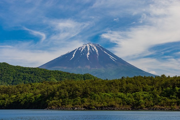 写真: 青空と富士