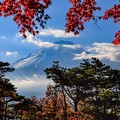 写真: 富士山見えたヽ(^o^)丿