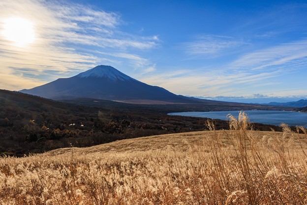 写真: 富士と逆光ススキと山中湖