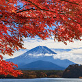 Photos: 他手合浜の紅葉と富士