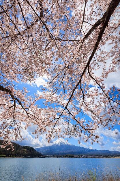 写真: アチラが富士山です(^o^)丿