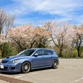 写真: 愛車と残り桜