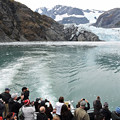 写真: 氷河クルージング