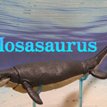 写真: プラノサウルス　モササウルス