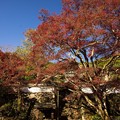 神蔵寺09