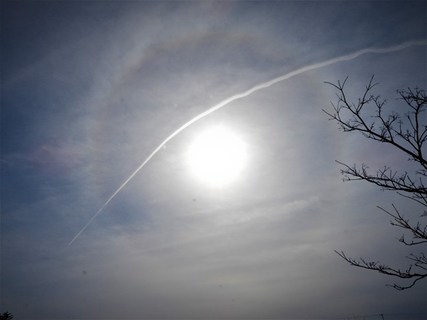 写真: 日暈と飛行機雲