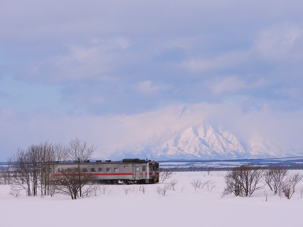 写真: タンコロ列車と利尻富士
