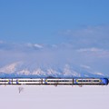写真: 弥生の利尻富士と列車