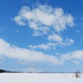 写真: サロベツの雪景