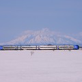 写真: 白き利しり富士と特急「サロベツ」