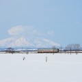 写真: 単コロ列車と利尻富士
