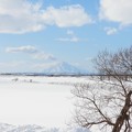 Photos: 真冬の利尻富士_2