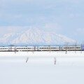写真: 特急列車と利尻富士