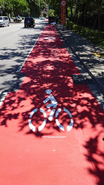 写真: 自転車専用道路
