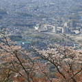 写真: 美の山公園から秩父市街を見下ろす