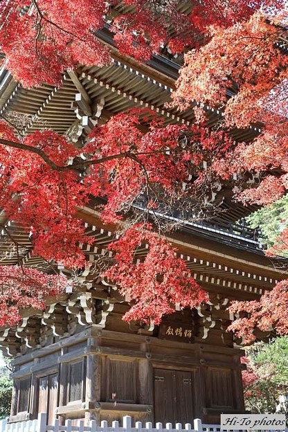 三宝寺池界隈の紅葉