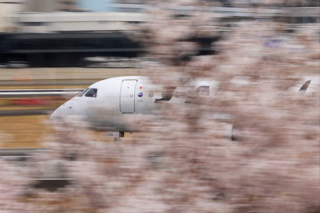 Photos: 桜を抜けていくJ-AIR