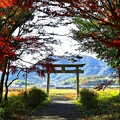 写真: 神社の紅葉