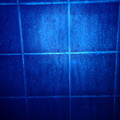 写真: 風呂場のタイル壁（365nm）