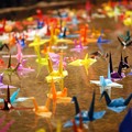 写真: 千羽の折り鶴の浮かぶ池