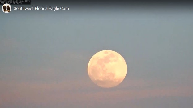 Where are Es Watching this Super Flowermoon 5-25-21 2000