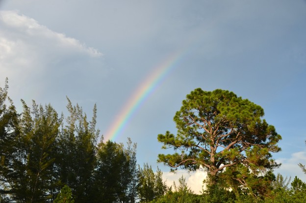 写真: The Rainbow Without Rain 7-22-21