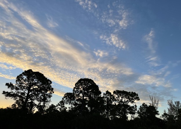 写真: フロリダのあちこちでイワシ雲が見えた日。