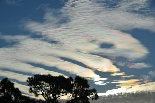 写真: Iridescent Clouds 11-20-21