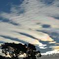 写真: Iridescent Clouds 11-20-21