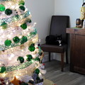 Amore and the Christmas Tree 12-16-22