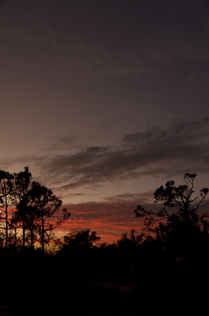 写真: Sunset II 11-11-22