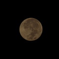 写真: Blue Moon III 8-31-23