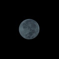 写真: Blue Moon IV 8-31-23