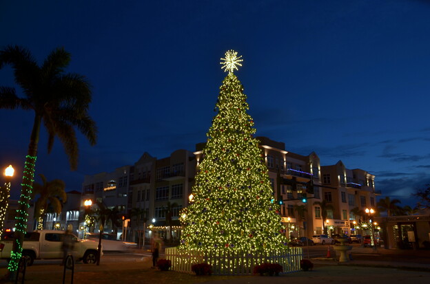 写真: Punta Gorda Christmas Tree III 12-7-23
