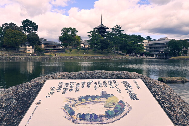 写真: 奈良公園
