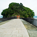 写真: 荒島神社