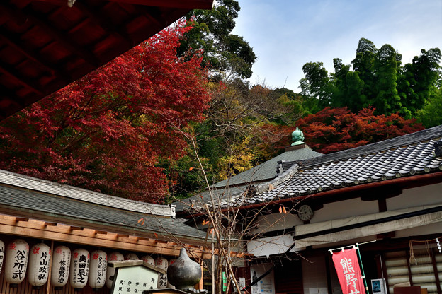 写真: 2021_1121_113812_熊野若王子神社